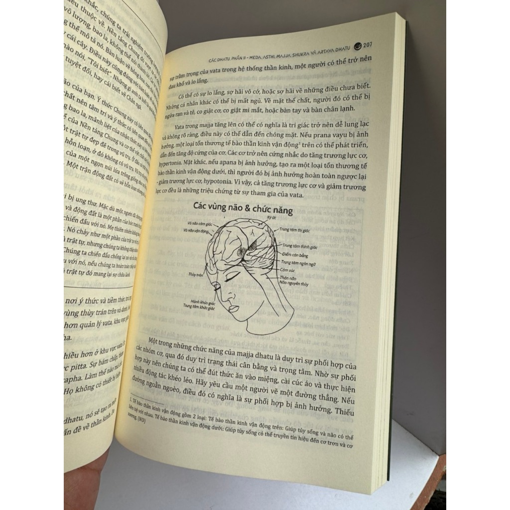 Sách - Ayurveda – Nền tảng dưỡng sinh Ấn Độ – Vasant Dattatray Lad - Sophia Ngo dịch –  Book Hunter