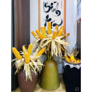 Bắp ngô trang trí nguyên cây