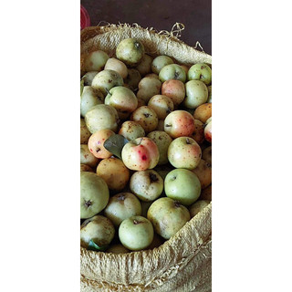 Táo mèo tươi 1kg