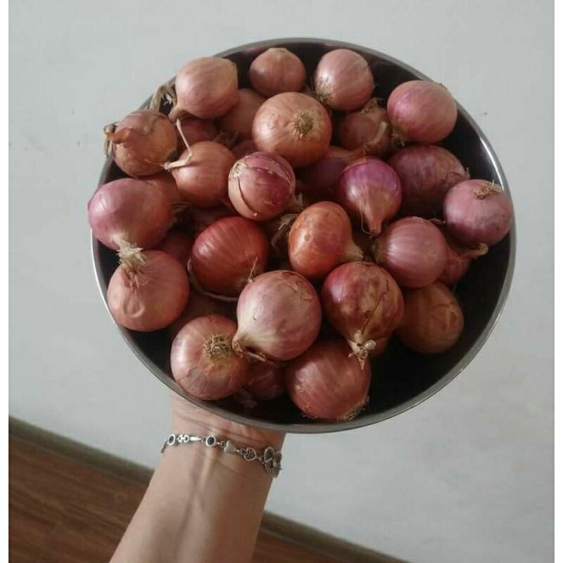 Hành khô - hành khô một nhánh củ to tròn