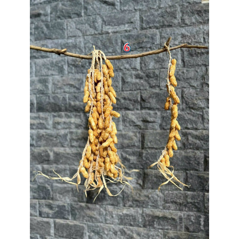 Dây cao lương/ dây củ quả/ dây quả giả