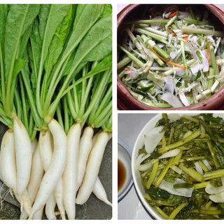 Gói 20g hạt giống cải củ ăn lá muối dưa