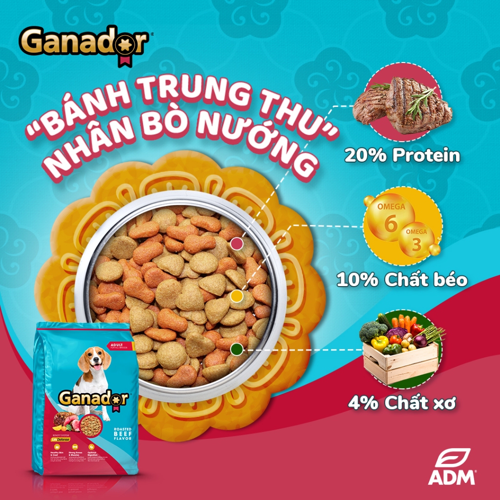 Thức ăn hạt cho chó trưởng thành Ganador vị bò nướng gói 400gr