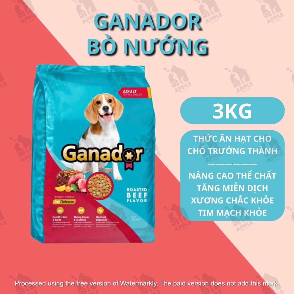 Thức ăn hạt cho chó trưởng thành Ganador - Vị bò nướng