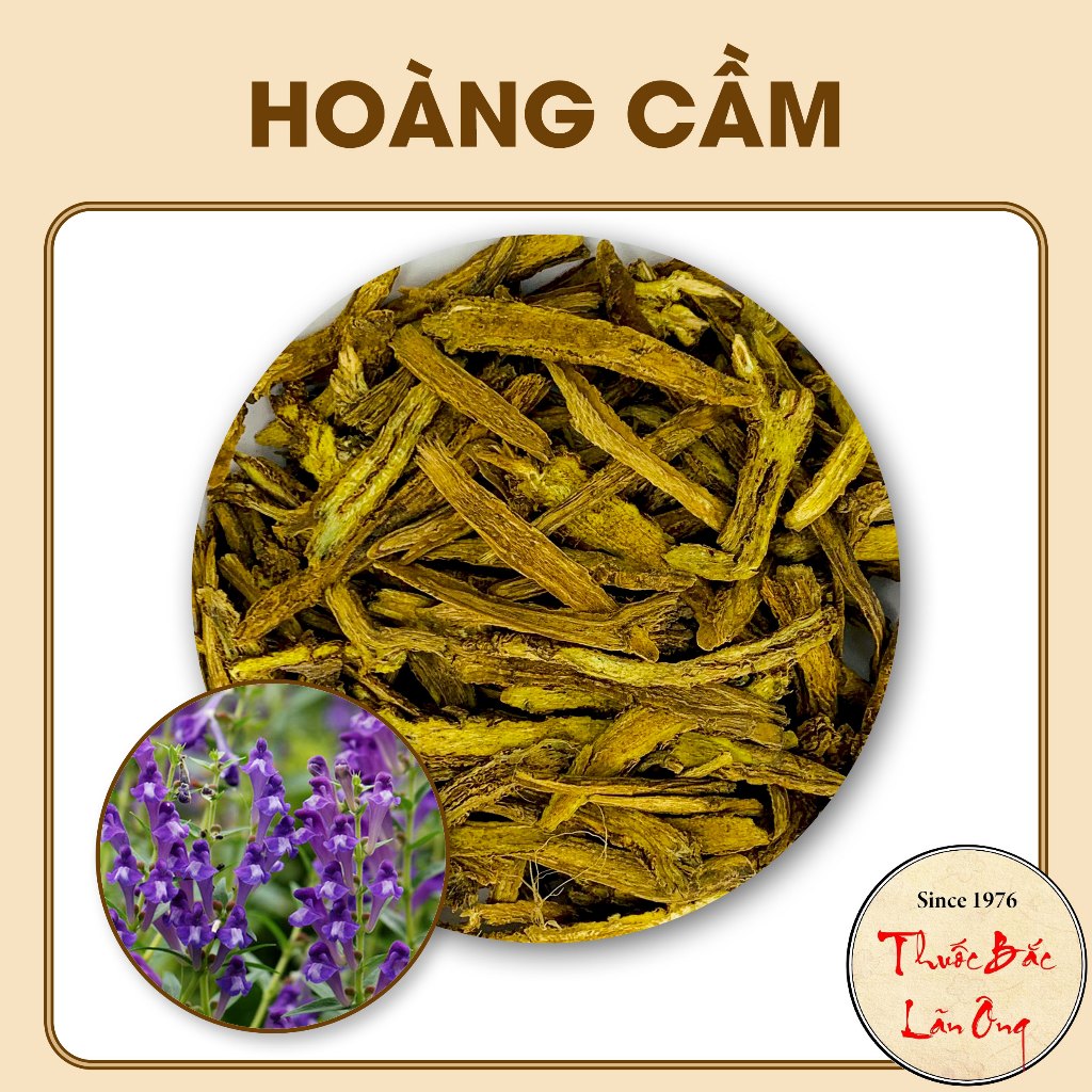Hoàng cầm 100g (Hàng khô loại 1)