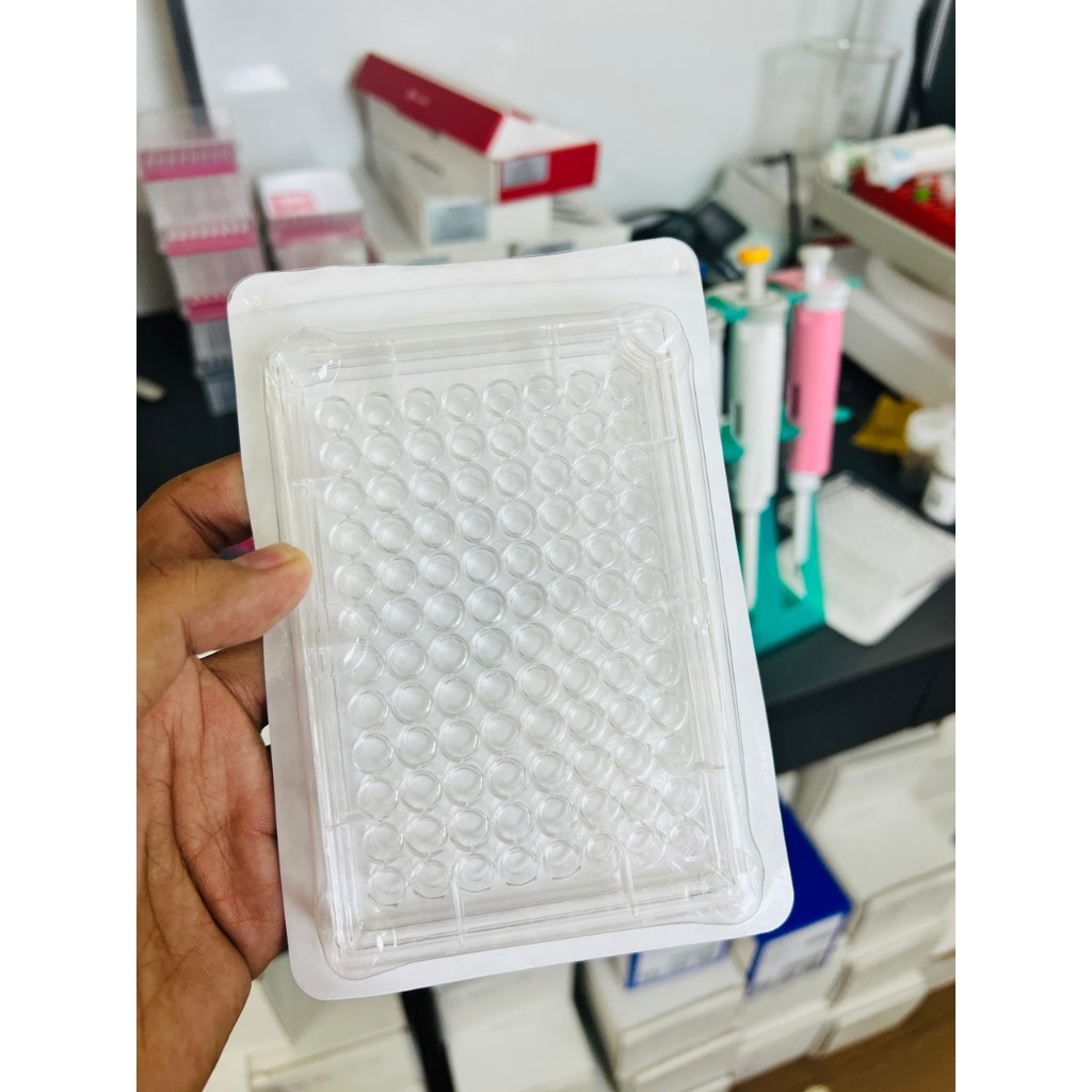 Đĩa 96 giếng nuôi cấy tế bào