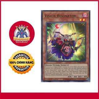 Vision Resonator