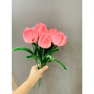 10 bông hoa tuylip dáng dài hồng phấn kẽm nhung