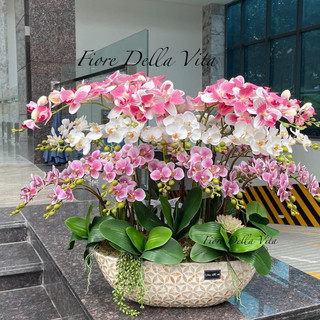 Bình hoa Lan tiểu hồ điệp cắm chậu khảm trai sang trọng