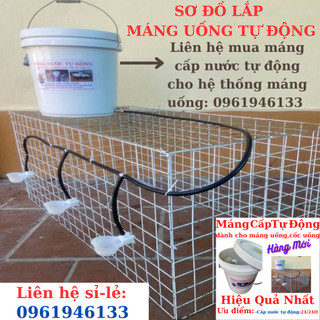 Bộ sản phẩm Máng uống nước tự động dành cho Chim,Gà,Gia cầm siêu rẻ, hiệu quả nhất!