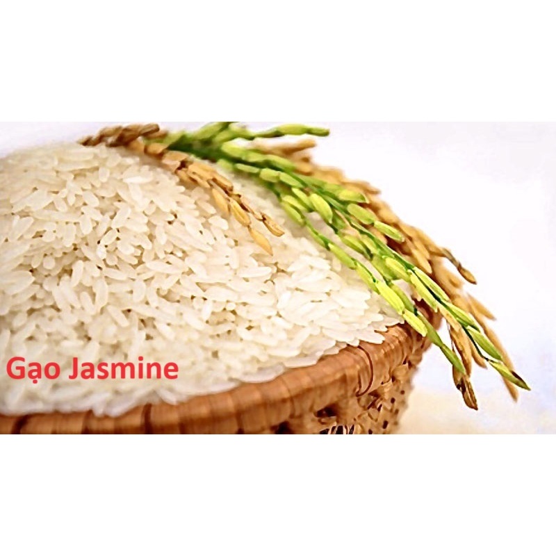 1kg gạo nhiều loại | BigBuy360 - bigbuy360.vn