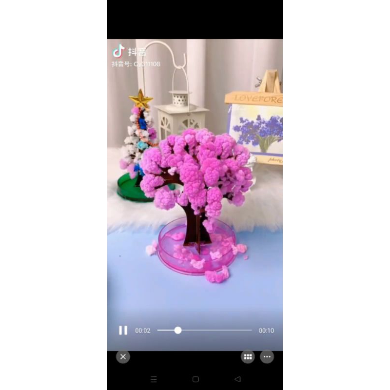 Đồ chơi noel , cây thồn nở tuyết , cây hoa anh đào nở hoa , magic funny tree , magic sakura
