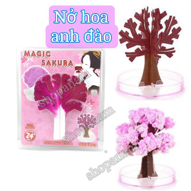 Đồ chơi noel , cây thồn nở tuyết , cây hoa anh đào nở hoa , magic funny tree , magic sakura