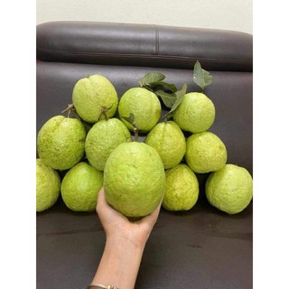 Dầu đậu nành simply 1L