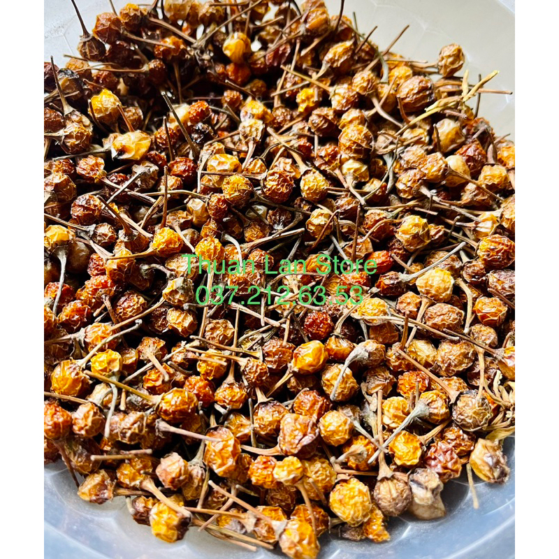 Set 20trái Ớt Peru Aji Charapita Đắt Đỏ Nhất Thế Giới