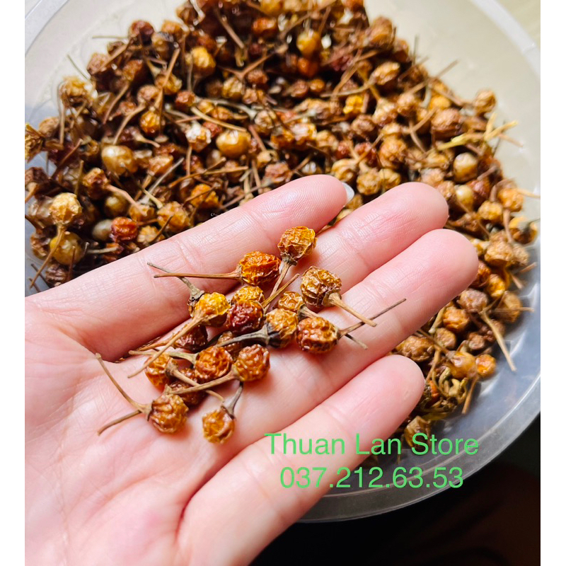 Set 20trái Ớt Peru Aji Charapita Đắt Đỏ Nhất Thế Giới