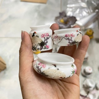 Cóng chim hút mật,khuyên, choè đất, yến kèm tai, hàng tàu
