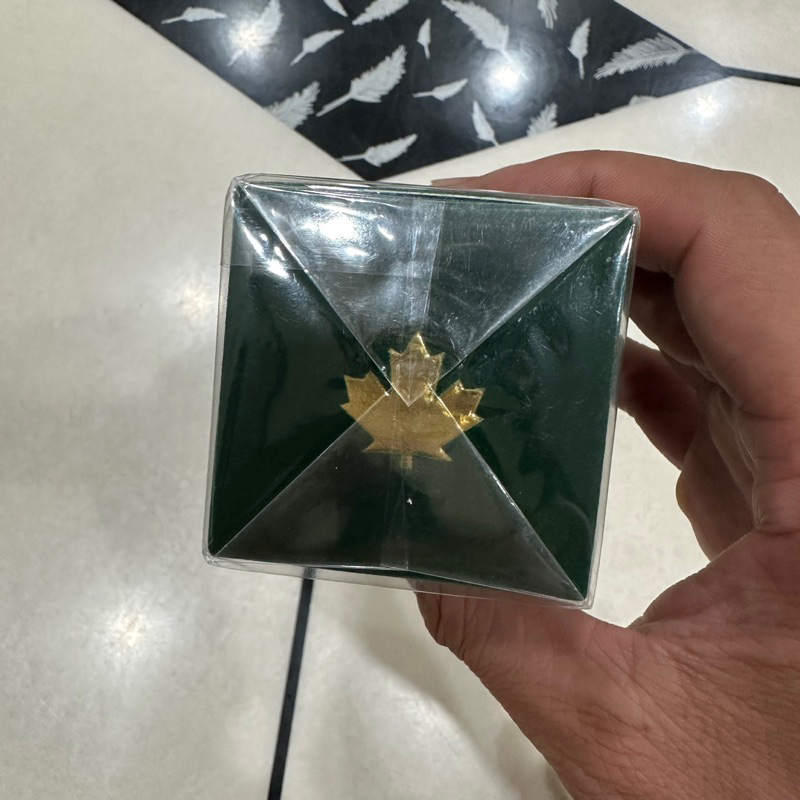 Nước hoa nam Dsquared2 Green Wood pour homme 30ml full seal