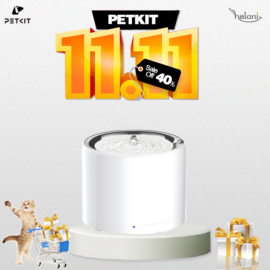 Máy Uống Nước Cho Mèo Petkit, Máy Lọc Nước Không Dây Everweer Pro Kết Nối App