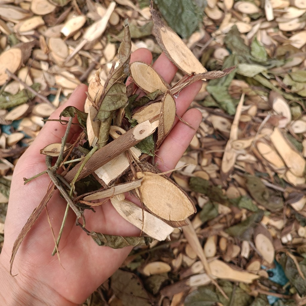 Viên An Xoa Xạ Đen Calen Nature's Farm hạ men gan chỉ sau 1 liệu trình 2 gói