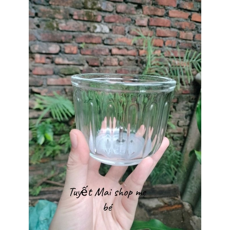 Cối thủy tinh máy xay snapbee 0.3l