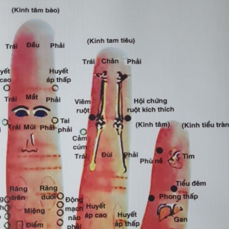 Tranh huyệt vị bàn tay 55×75cm