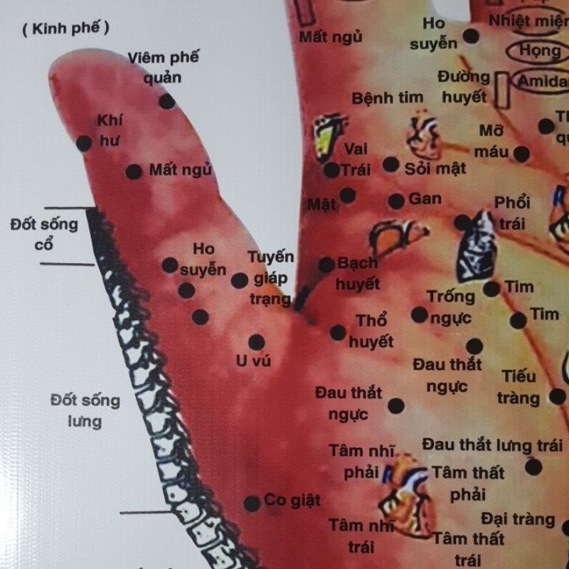 Tranh huyệt vị bàn tay 55×75cm