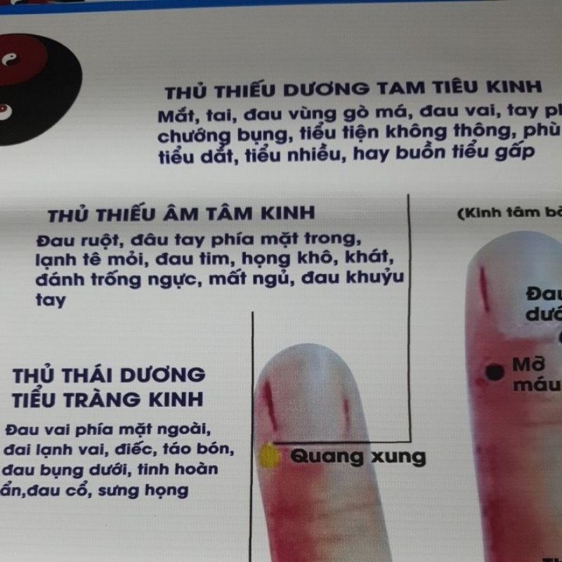 Tranh huyệt vị mu bàn tay 70×90cm