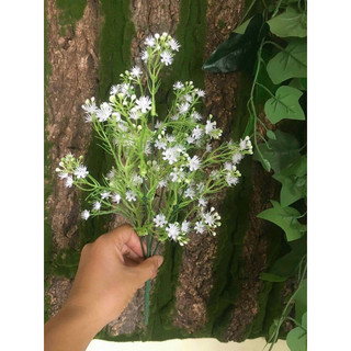 cụm điểm bi