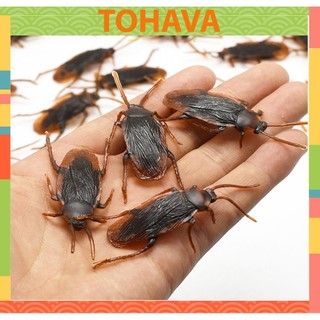 Con gián giả đồ chơi cho chó mèo, chơi khăm