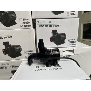 Bơm dc 24v chống giật marine dc pump 1500 2500 4000 l/h nhỏ và mạnh