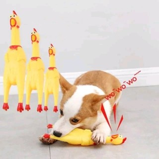 Đồ Chơi Cho Chó Mèo,Gà Phát Ra La Hét Tiếng Gà Ngộ Nghĩnh