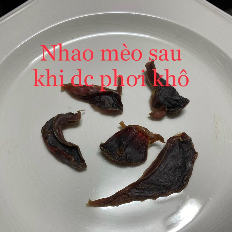 Mặt treo may mắn, thu hút tài lộc, thu hút may mắn