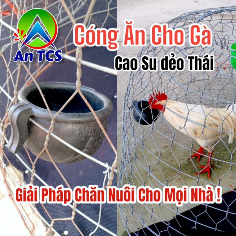 An TCS Cóng Gáo cao su cho gà ăn