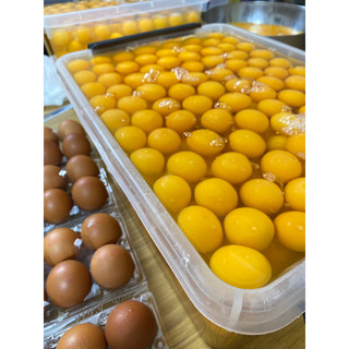 Combo Vip 4 hủ bánh size 500ml