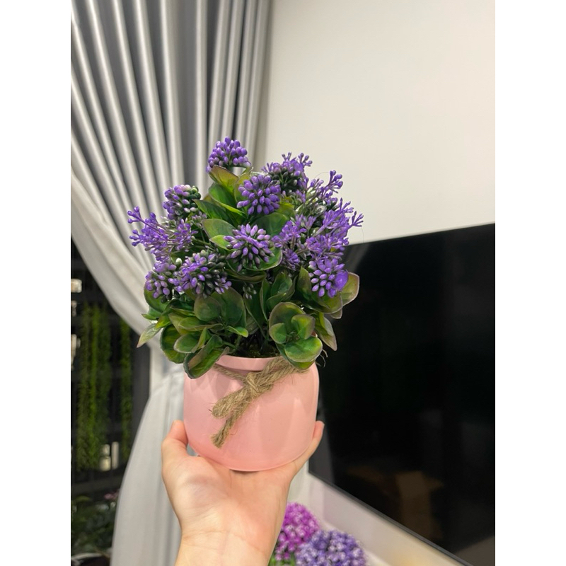 Chậu nơ quả chùm, chậu hoa mini để bàn, hoa giả trang trí