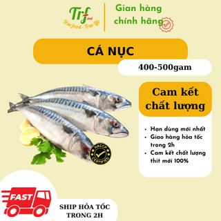 Cá nục Nhật cá thu đao nhập khẩu Truefood 400-500g [HN ship hỏa tốc]