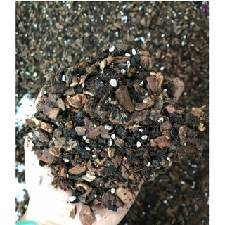 1kg Hỗn Hợp Giá Thể Trồng Lan Cao Cấp - Đầy Đủ Dinh Dưỡng - Qua Đã Xử Lý cho người tập chơi