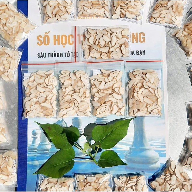 HẠT SANG KHẮC TINH CỦA ĐAU DẠ DÀY, ĐẠI TRÀNG (TẶNG EBOOK SỐ HỌC)