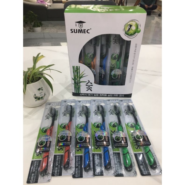 Hộp 30 Bàn Chải Đánh Răng Bossi Than Tre Hoạt Tính