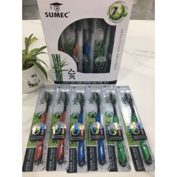 Hộp 30 Bàn Chải Đánh Răng Bossi Than Tre Hoạt Tính