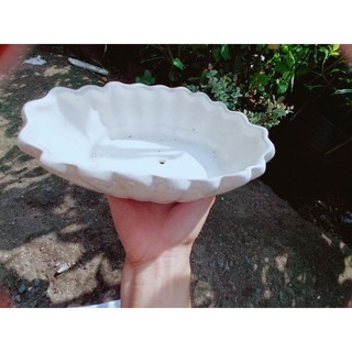 Chậu Trồng Cây