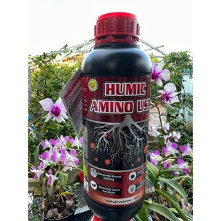 Humic amnio USA chai 1 lít pha 800 lít nước