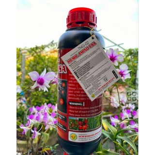 Phân bón humic amino usa kích rễ 1chai 1lit pha 800lit nước