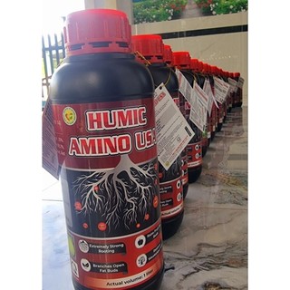 Phân bón humic amino usa kích rễ 1chai 1lit pha 800lit nước