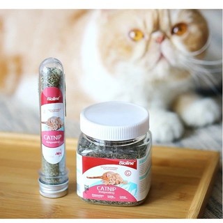 Catnip , cỏ mèo, cỏ bạc hà Bioline cho mèo giảm stress, thư giản, mèo rất thích