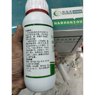 Vào Cuộn Bắp Cải và Cải Thảo