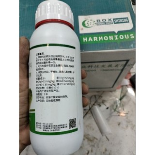 Vào Cuộn Bắp Cải và Cải Thảo
