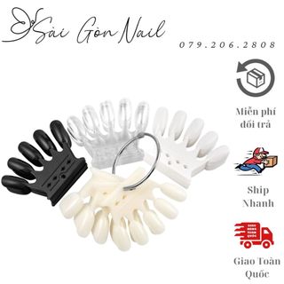 Móng que tập sơn tập vẽ móng que vương miện