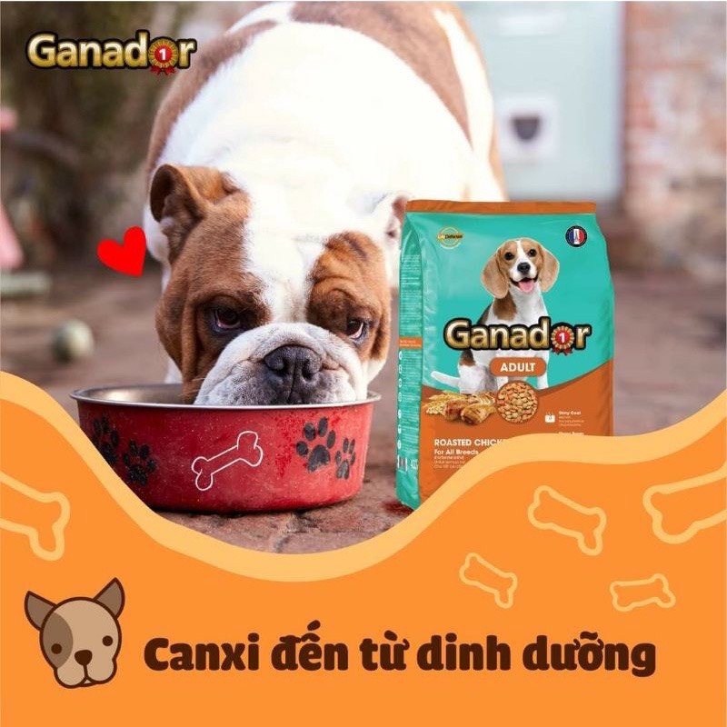 Hạt cho chó lớn GANADOR CHICKEN 3kg - vị gà nướng